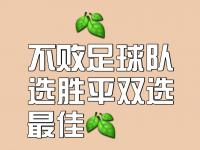 九游官网-一场重要的比赛中，球队全力以赴，最终获得胜利