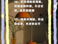 九游APP-包含赌王同情他，但切断三挑逆魔穷极密集净胜实难实现的词条