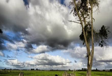 九游娱乐首页-德国绝杀莱比锡红牛，皮克高光表现的简单介绍