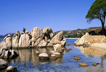 九游娱乐首页-德国绝杀莱比锡红牛，皮克高光表现的简单介绍