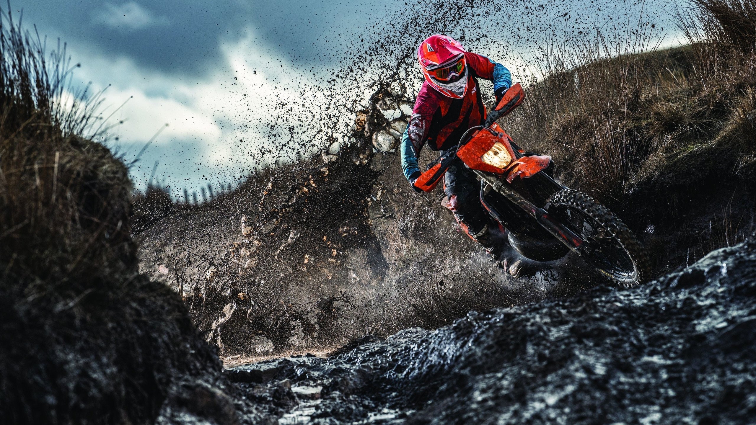 绿茵与硬木的对话，当英超争冠焦点战遇上森林狼压制猛龙